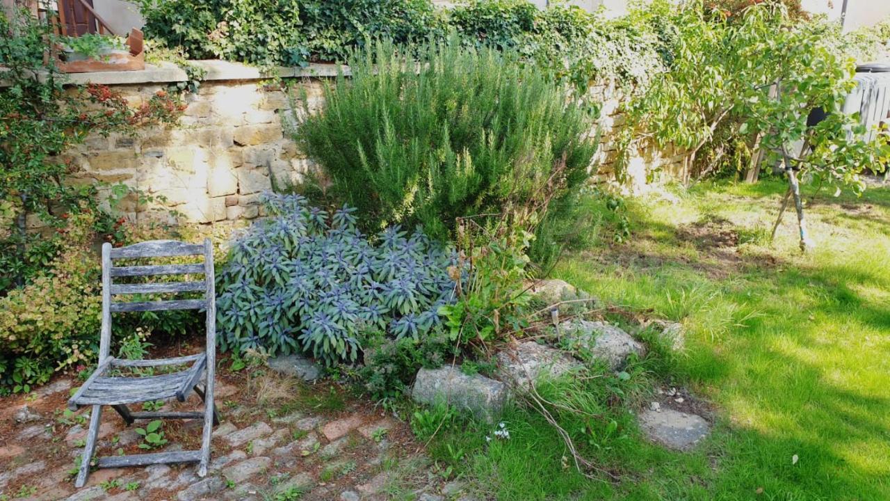 Mickleton  The Old Bank Beautiful Cotswold House With Huge Gardenヴィラ エクステリア 写真